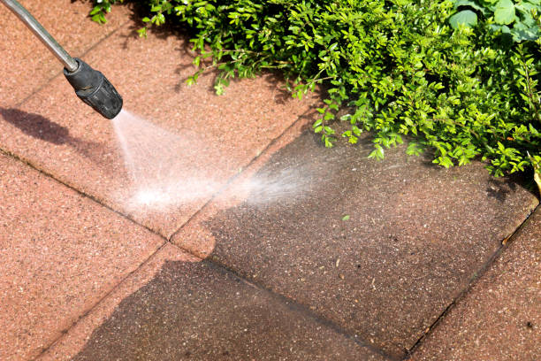 Best Pressure Washing Near Me  in Pantego, TX